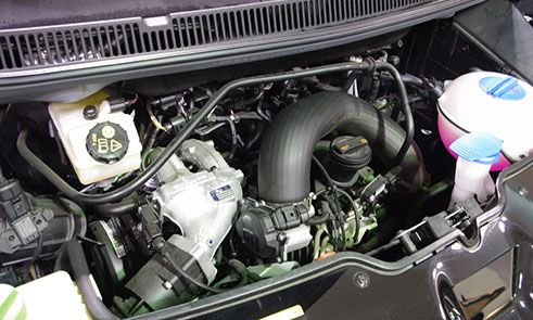 T5カリフォルニア